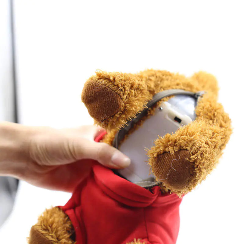 Plush Toy Teddy Dog with Leash