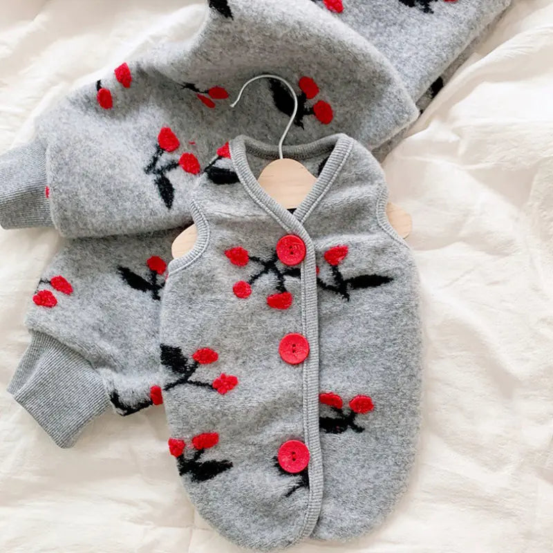 Pomeranian Small Puppy Spring Autumn Two-Legged Outfit