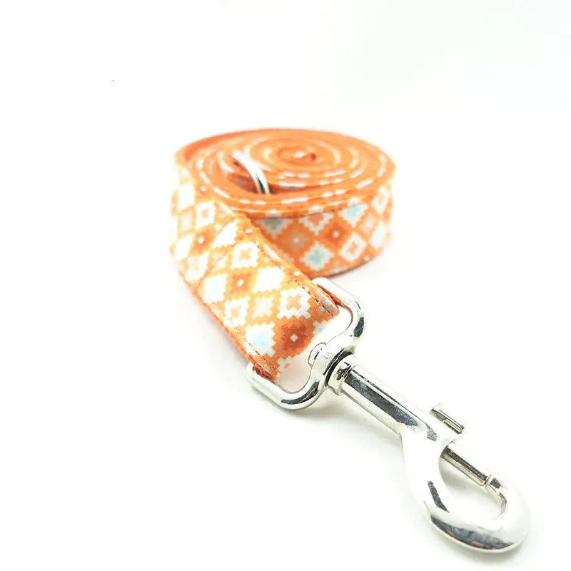 Thick Leash for Medium to Large Dogs