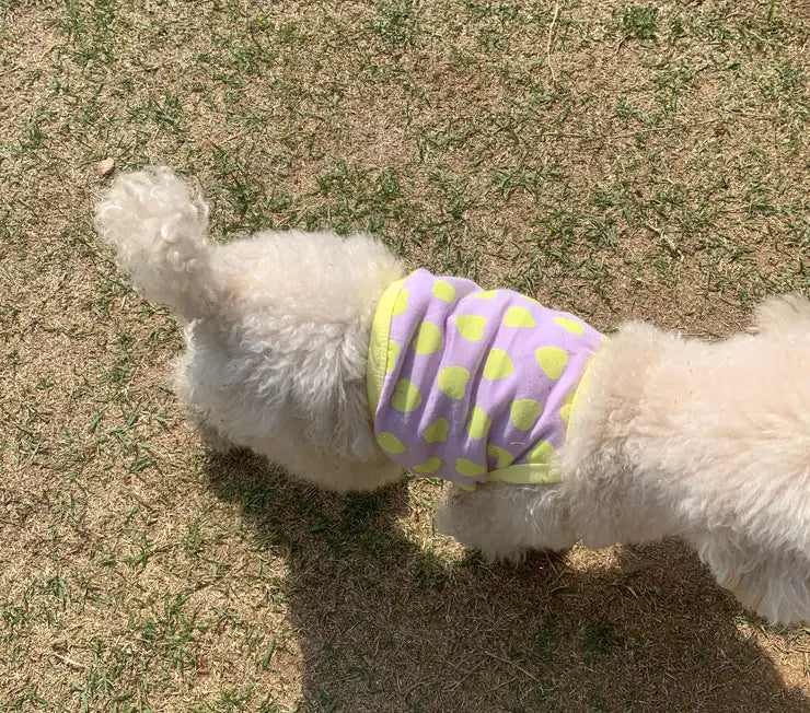 Breathable Summer Cat and Dog Sling Vest