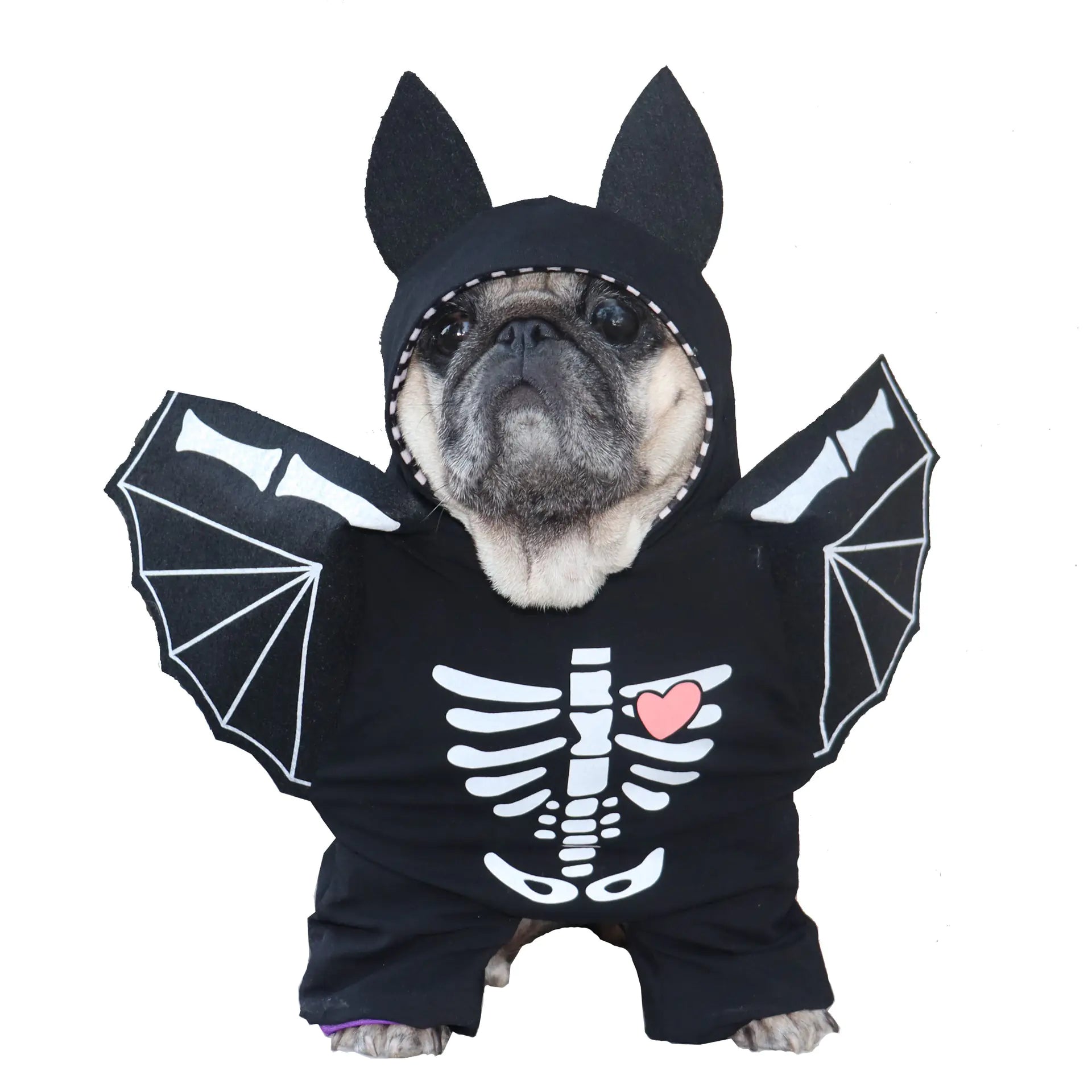 Funny Quirky Bat Costume for Cats and Dogs
