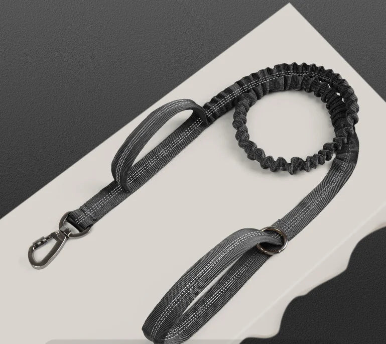 2024 Tactical Nylon Dog Harness with Leash (Medium/Large)