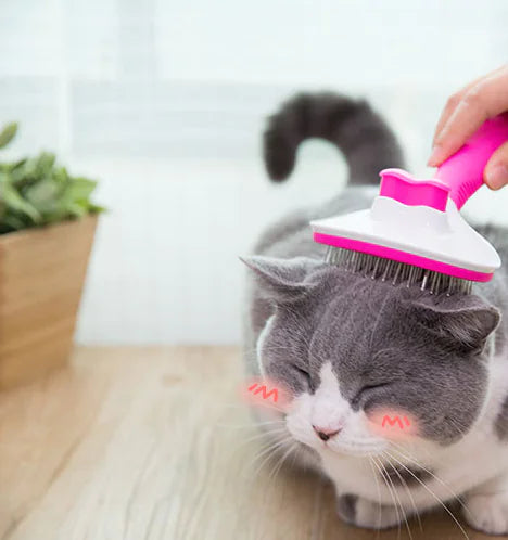 Pet Grooming Brush for Long-Haired Cats and Dogs