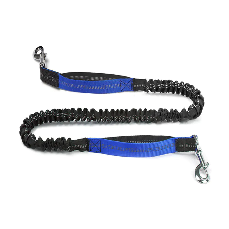 Cross-Border Pet Running Waist Bag with Leash