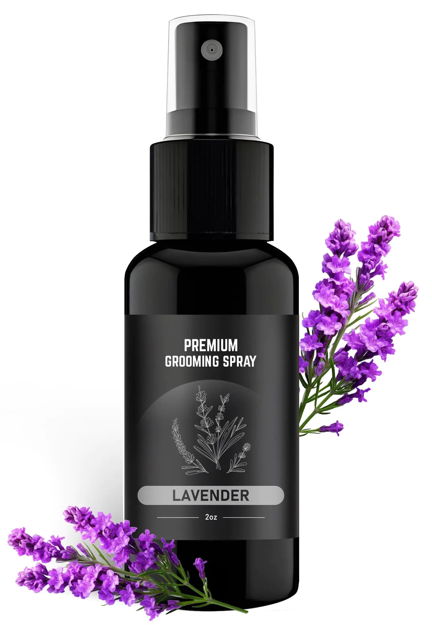 605Products | Premium Lavender Dog Cologne and Odor Eliminator - Long Lasting Dog Perfume Made with Essential Oils - Spray Deodorant for Smelly Dogs Dog Grooming Spray (Lavender)