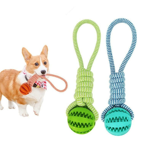 Pet Durable Rubber Ball Chew Toy with Cotton Rope