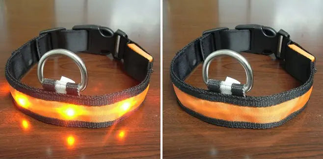 Luminous LED Pet Collar for Pomeranian & Husky