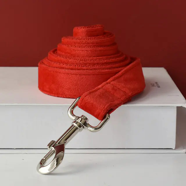 Personalized Engraved Pet Collar for Cocker Spaniel