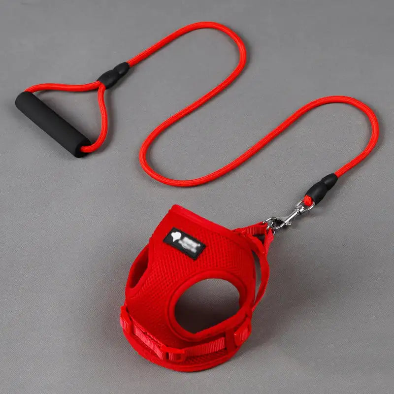 Dog Leash and Collar Set for Pets