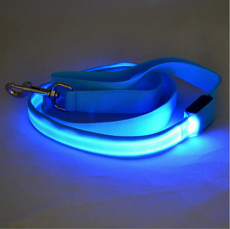 LED Glowing Dog Leash for Nighttime Walks