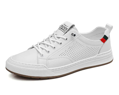 Men's Casual Shoes