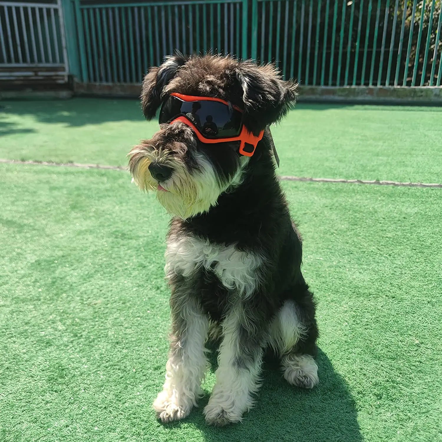 UV Resistant Soft Frame Dog Goggles and Sunglasses