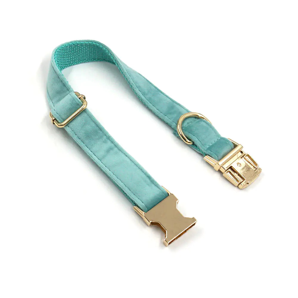 New Lake Green Velvet Pet Collar with Gold Buckle