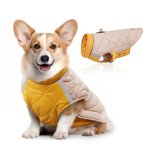 Reflective Warm Cotton Padded Coat for Pets