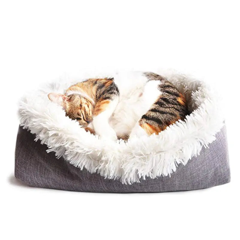 Dual-Use Cat and Dog Bed with Soft Plush Design