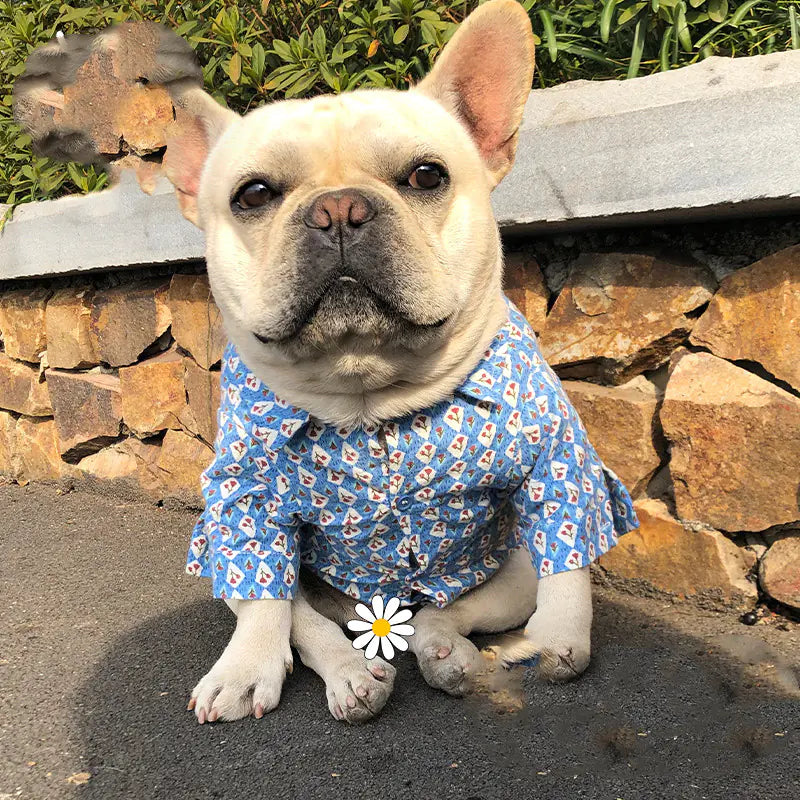 Plush Floral Shirt for Schnauzer and Cat Pets