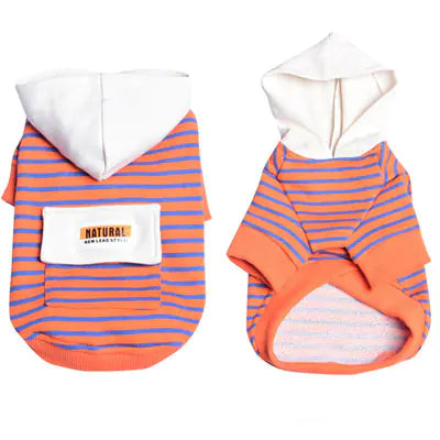 Striped Hooded Sweater for Small Dogs (Two-Legged)