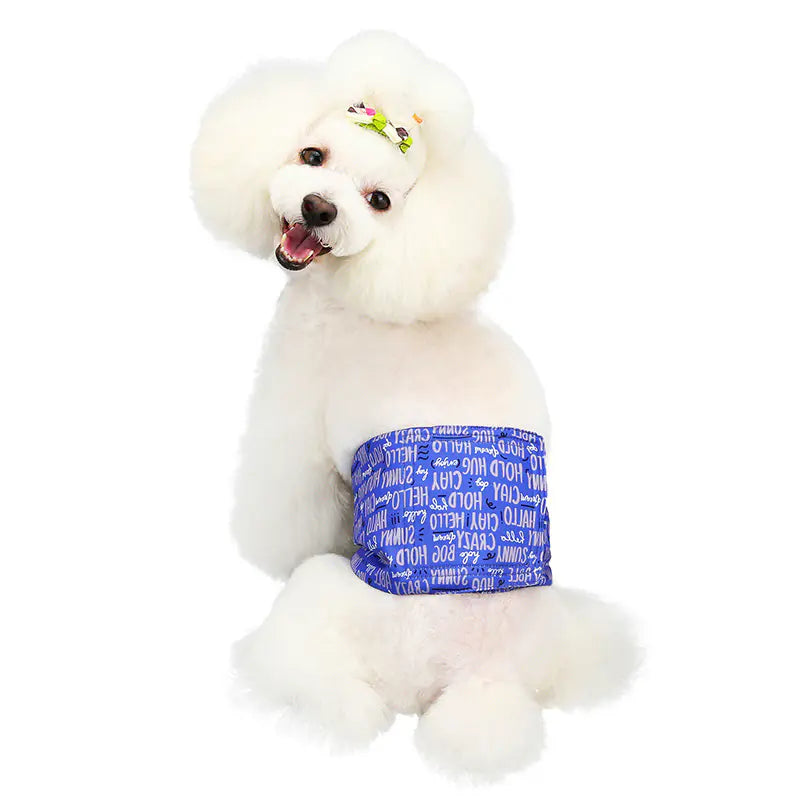 Waterproof Dog Diapers with Absorbent Design