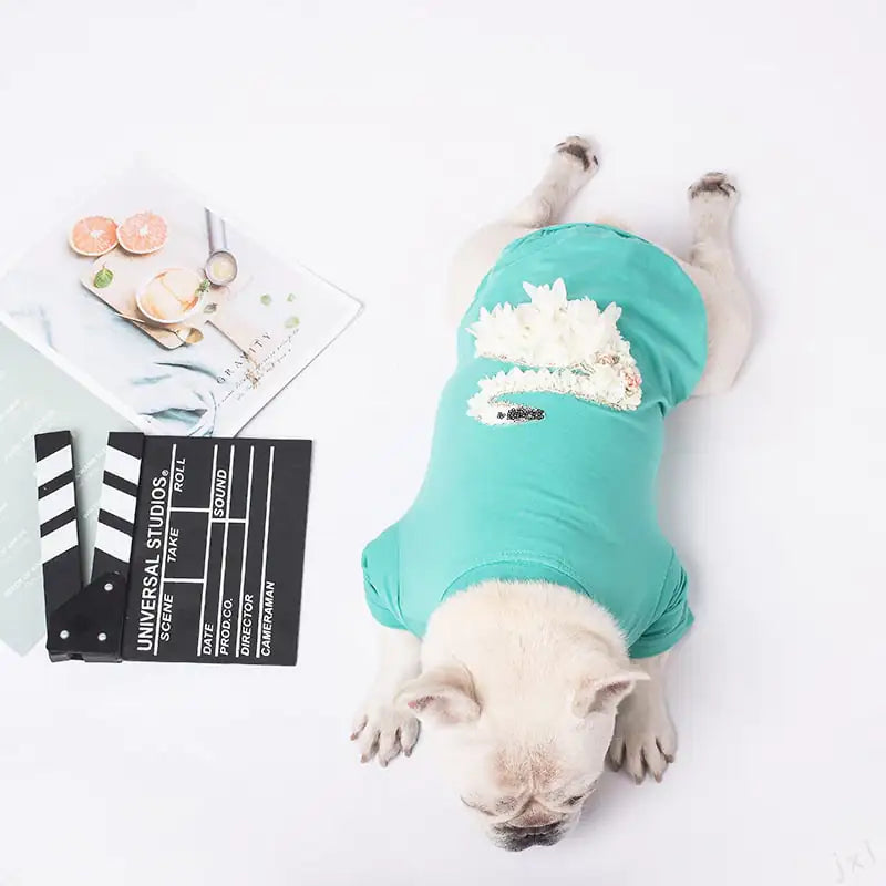 Warm Dog Clothes for Small Pets by Beier