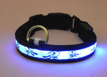 LED Dog Leash and Collar for Pets