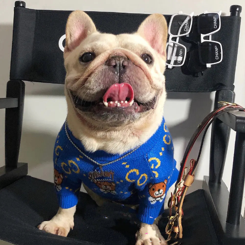 Autumn and Winter Fashion for Dogs