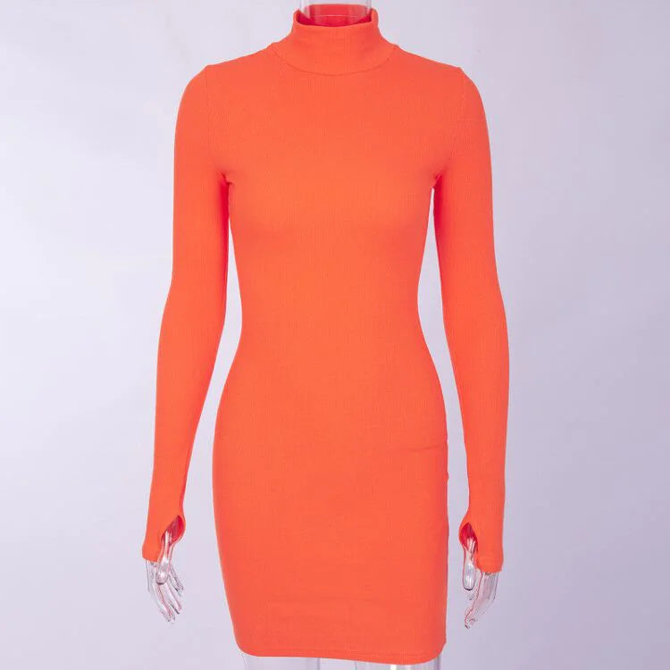 Autumn/Winter Long Sleeve High Neck Dress (Cross-Border)