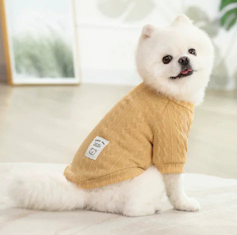 Warm Teddy Fashion Clothes for Dogs
