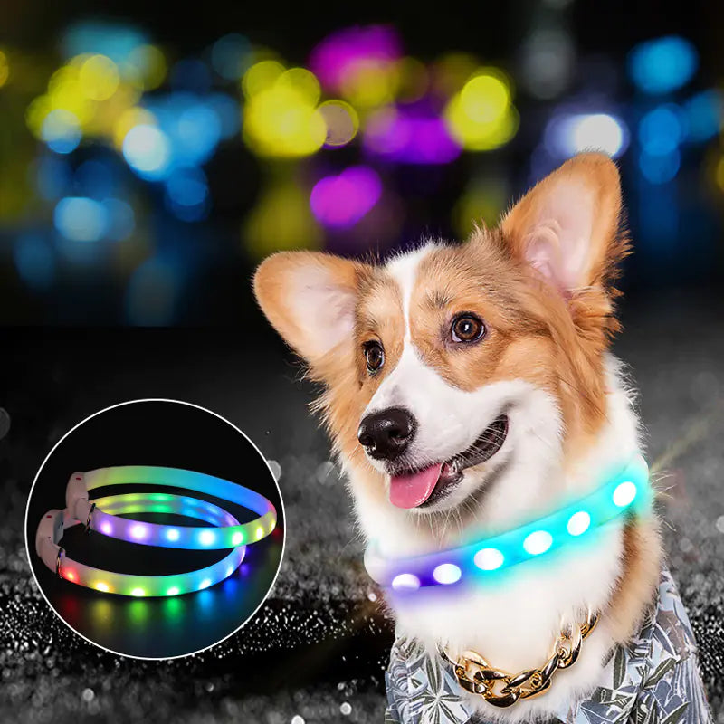 Luminous Rechargeable Dog Walking Leash