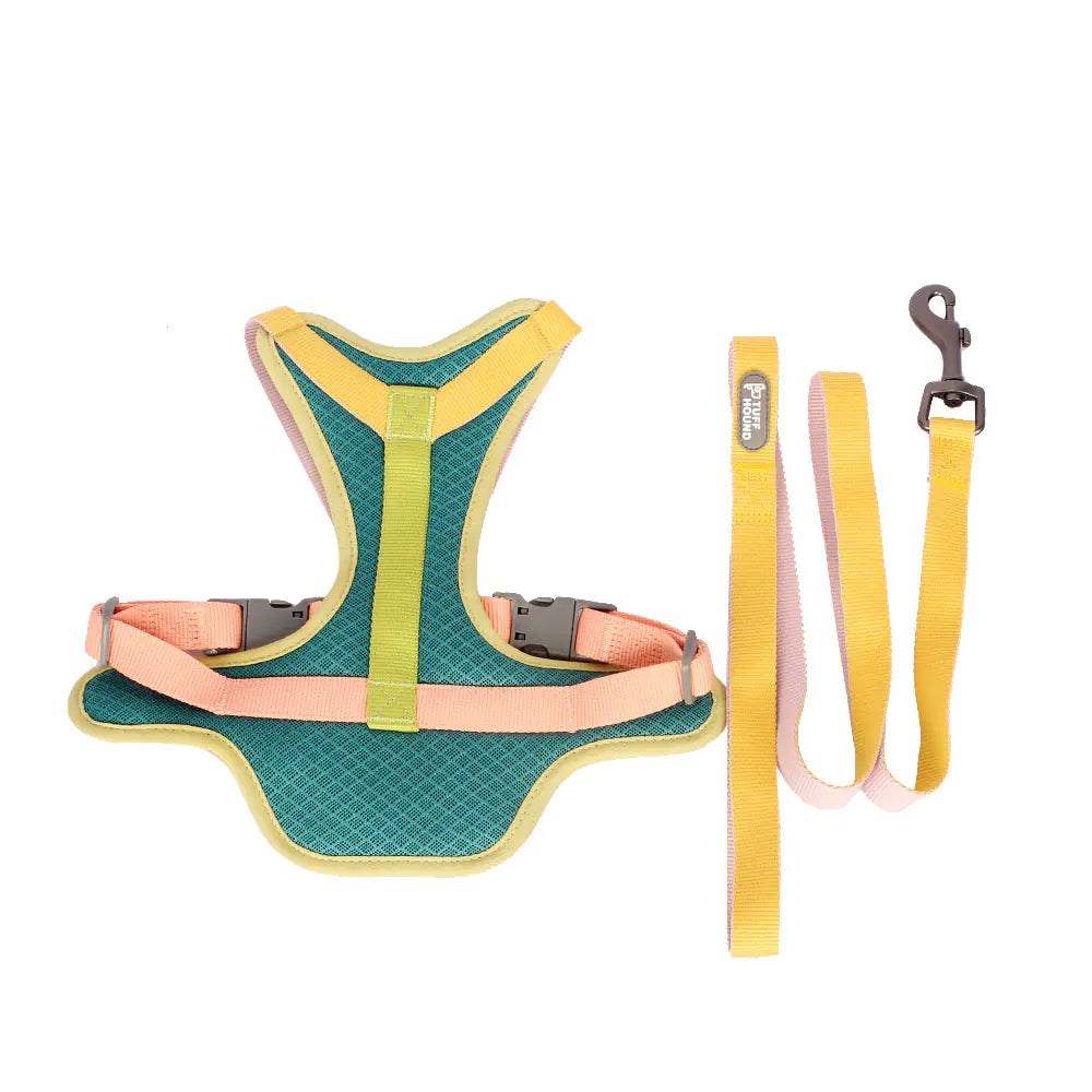 Colorful Harness and Leash Set for Pets