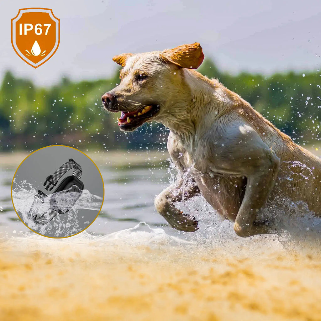 Smart Waterproof Pet Barker with Identification and Charging