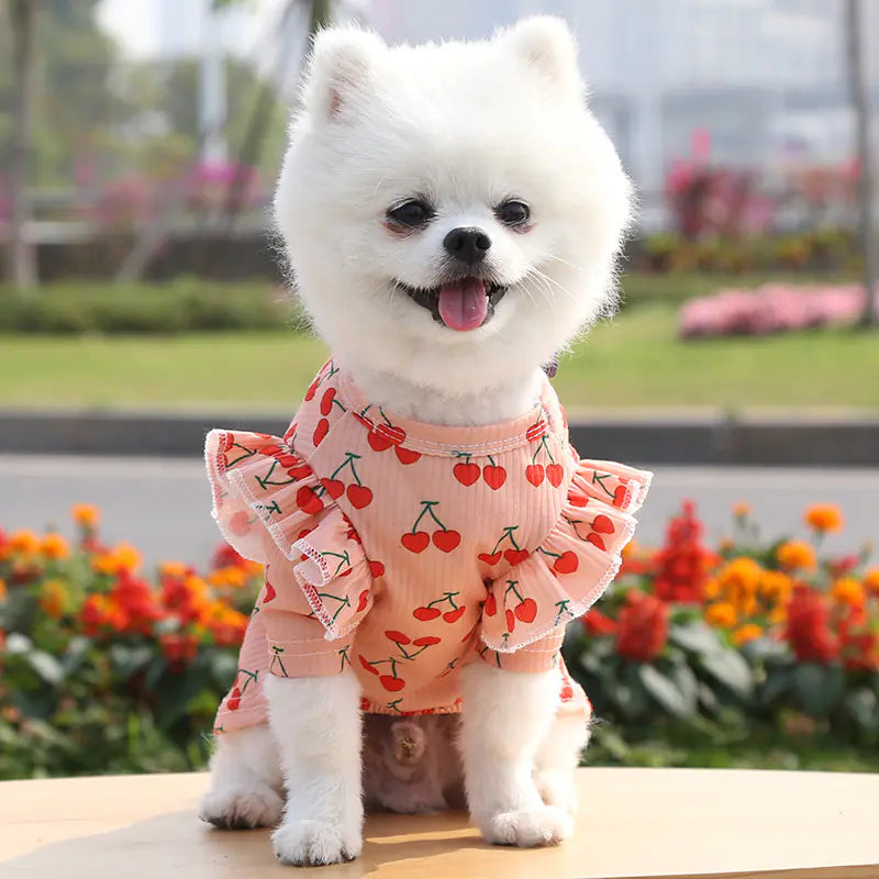 Dog Print T-Shirt Coat for Pets