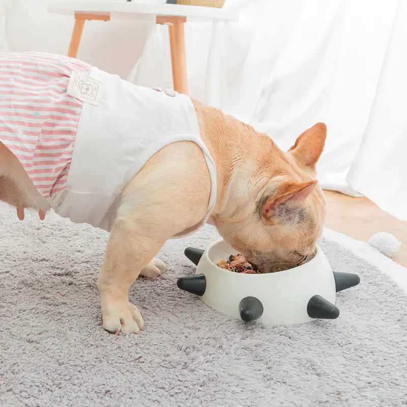 Durable Non-Slip Pet Bowl for Bulldogs and Frenchies