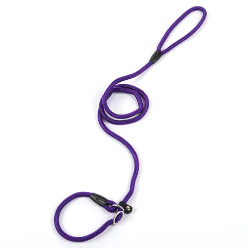 Dog Leash and Harness for Pets - New Style