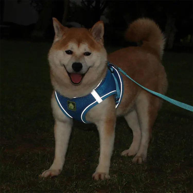 Reflective Vest Harness and Leash for Small Dogs