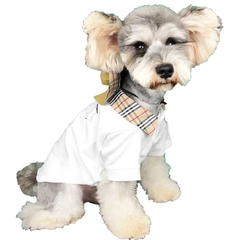 Summer T-Shirt for Small Dogs - Corgi, Teddy, Poodle