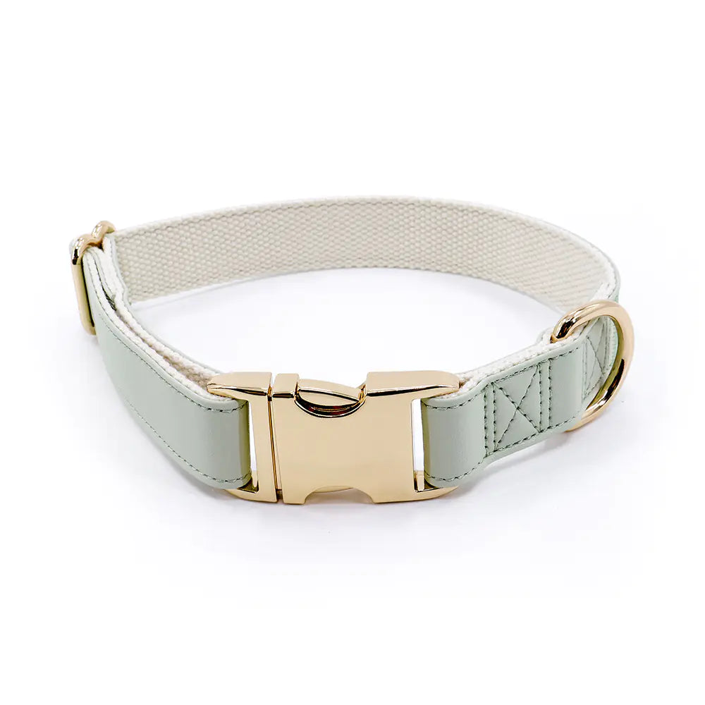 High-Quality All-Match Metal Buckle Pet Collar