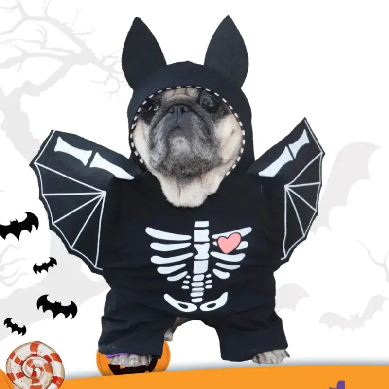 Funny Quirky Bat Costume for Cats and Dogs
