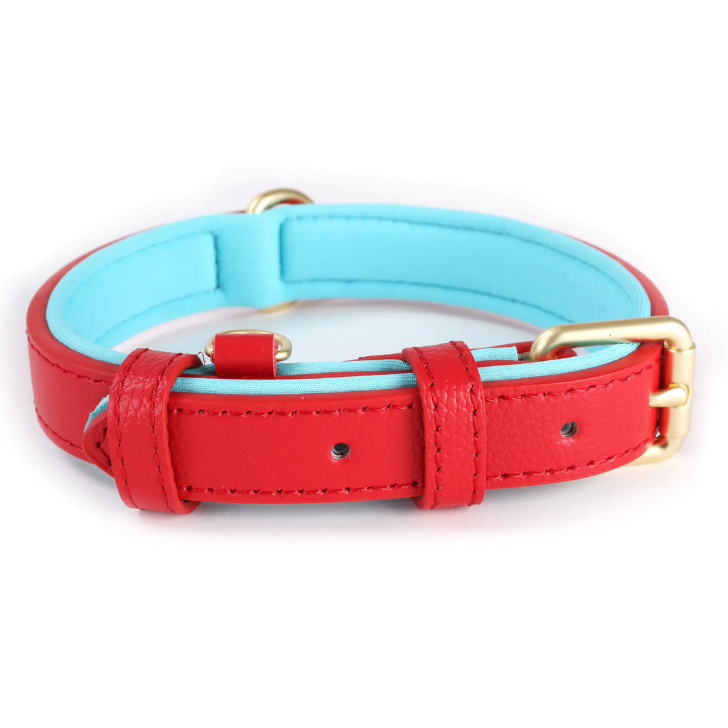 Lychee Pattern Dog Collar with Anti-Strangulation Design