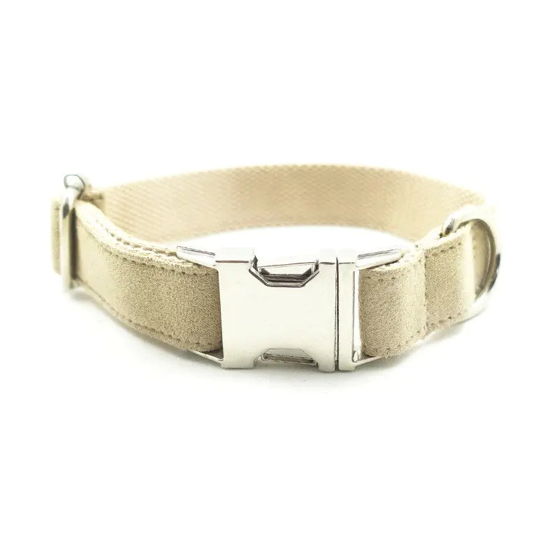 Creative Design Teddy Dog Collar - Eco-Friendly Pet Gear