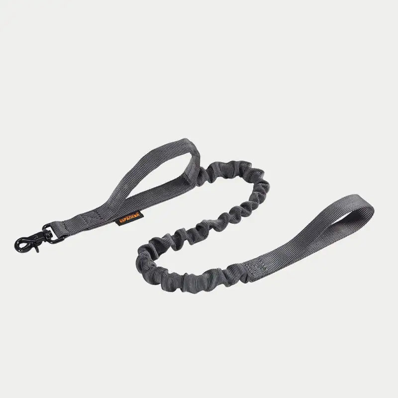 Leash for Large Dogs: German Shepherd, Golden Retriever
