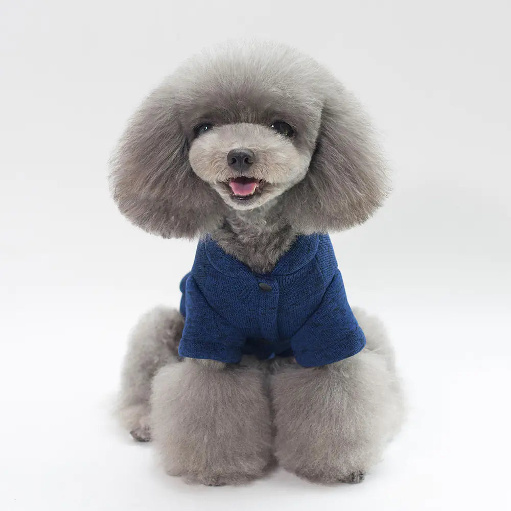Fishbone Pattern Warm Sweater for Small Dogs