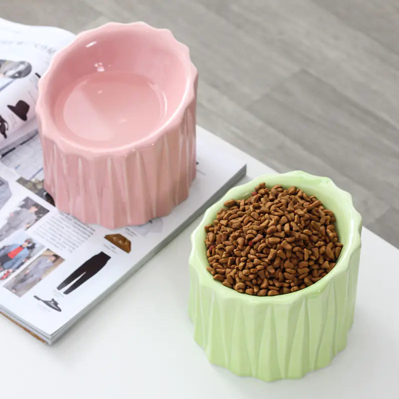 Ceramic Cat Bowl with Elevated Design for Comfort