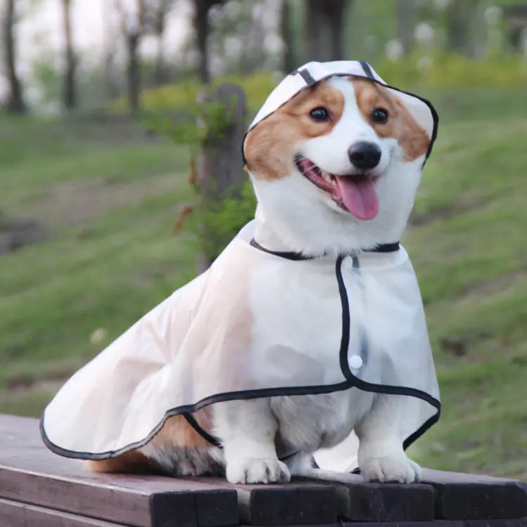 Dog Raincoat for Small Breeds - In Stock