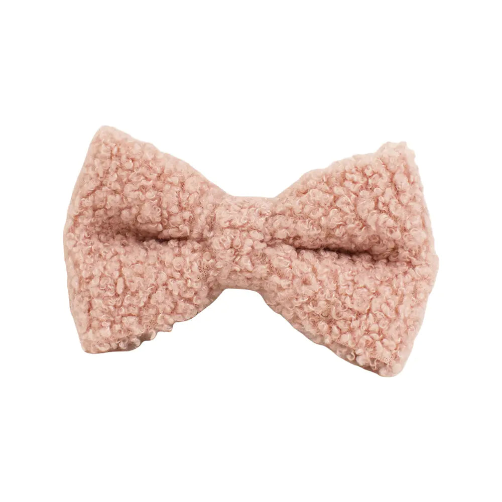 Dog Collar with Hand Holding Rope for Pets