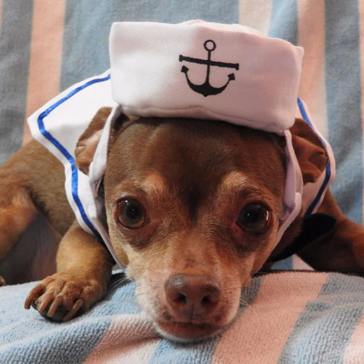 Navy Sailor Outfit for Cats - Warm Pet Accessories