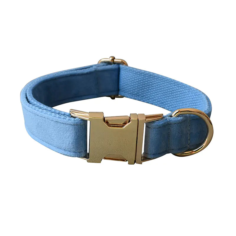 Blue Velvet Dog Collar with Rope for Pets