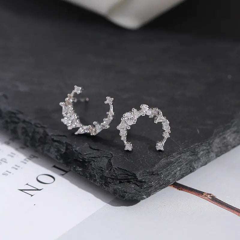 S925 Silver Earrings with Zircon Stone Moon Design