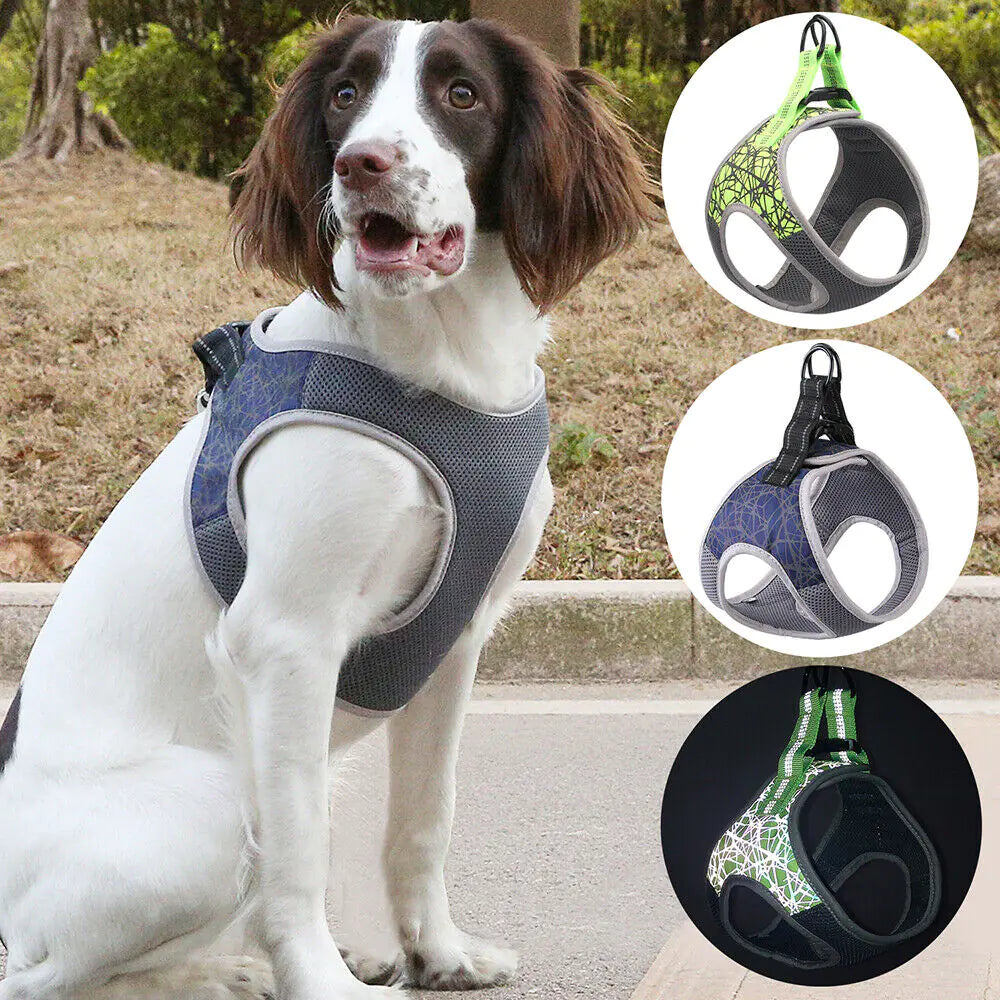 2020 Dog Harness Leash for Small Breeds, Reflective Nylon