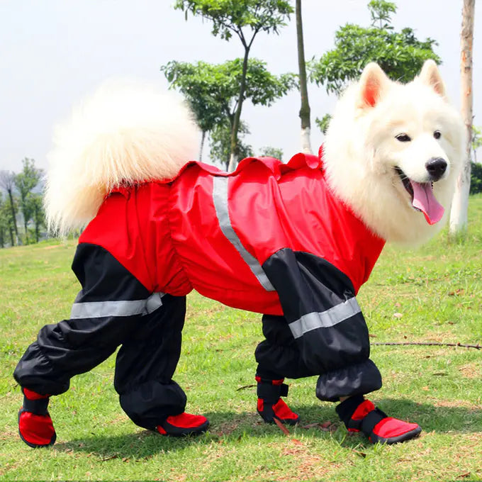 Waterproof Dog Shoes for Spring and Autumn Wear