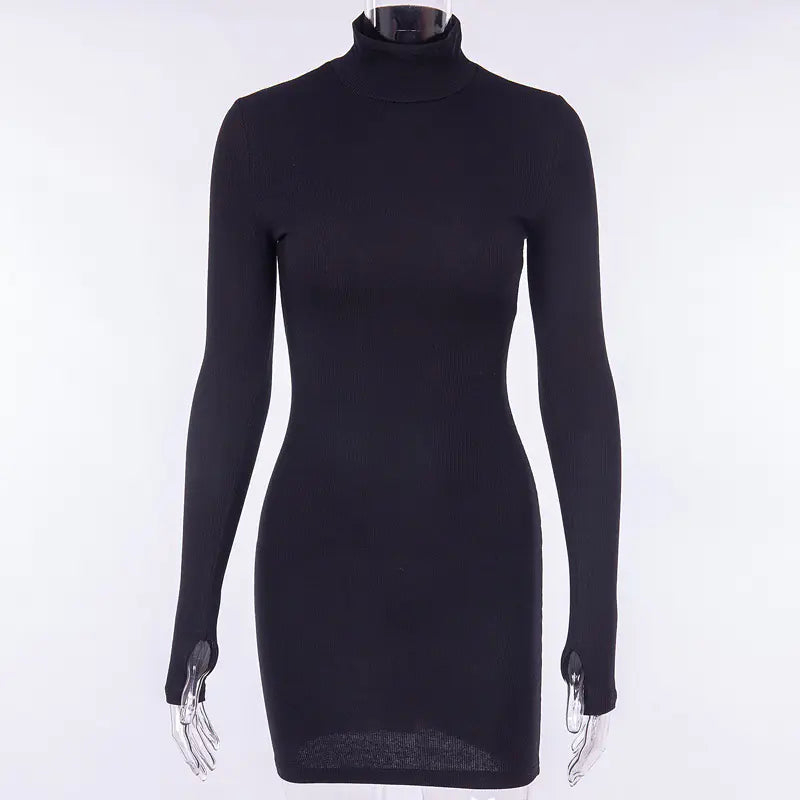 Autumn/Winter Long Sleeve High Neck Dress (Cross-Border)